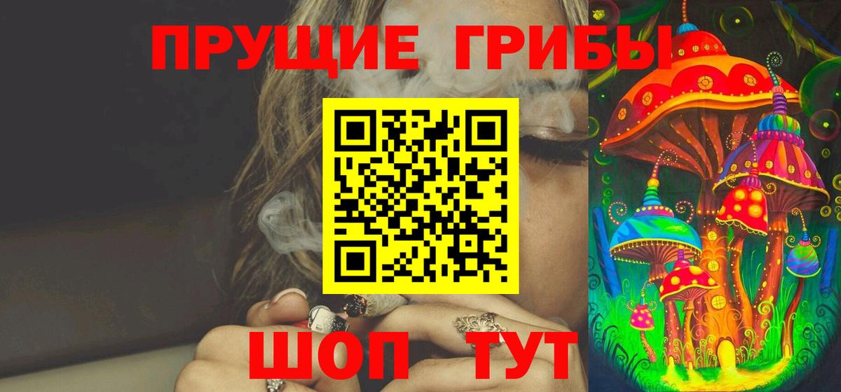 Псилоцибиновые грибы Cubensis Новосибирск